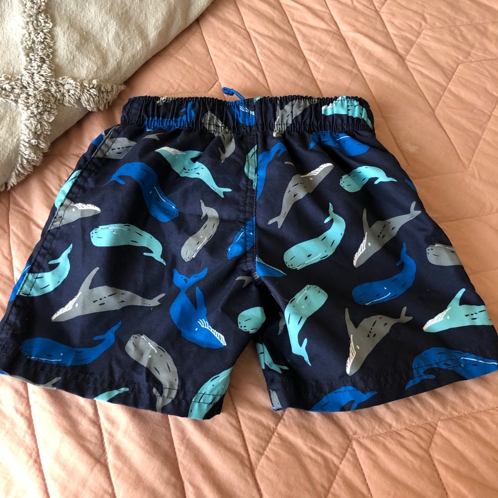 Swim Trunks